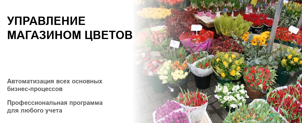 Система управления магазином цветов