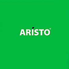 Aristo