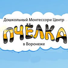 ПЧЕЛКА Дошкольный Монтессори Центр 