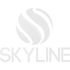 Skyline Group ТОО