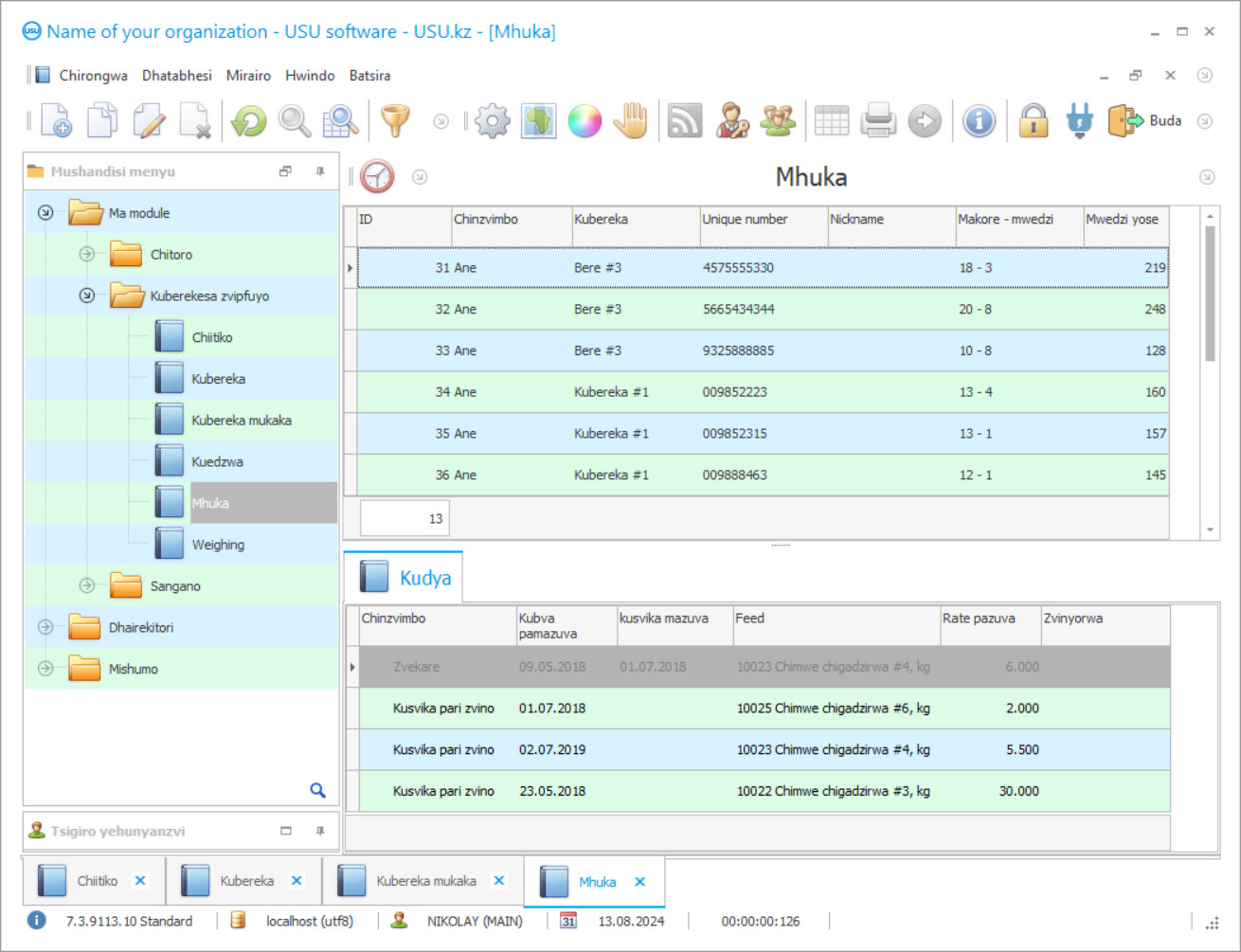 Accounting yepurazi - Chirongwa screenshot