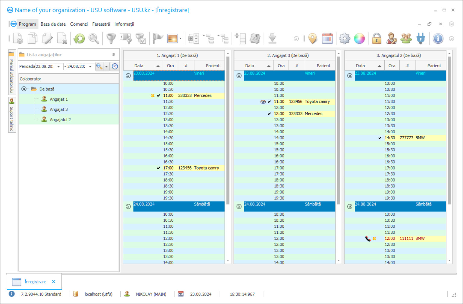 Program pentru service auto - Captură de ecran a programului