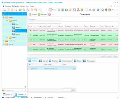 Работа салона красоты для животных