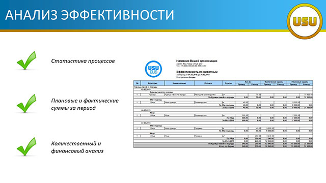Анализ эффективности