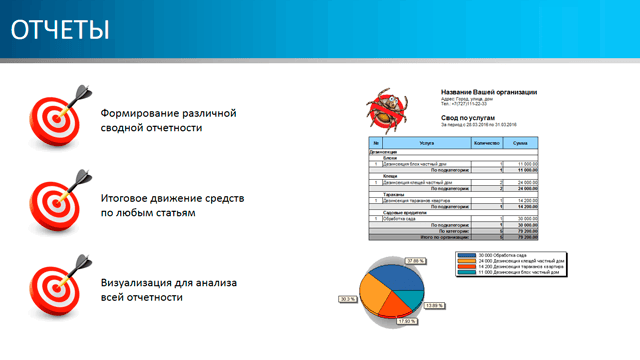 Отчеты