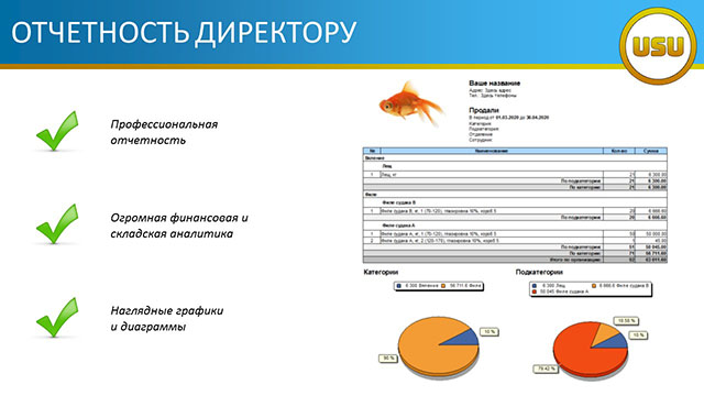Отчетность директору