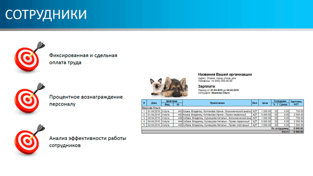 Сотрудники