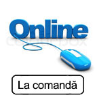Înregistrare online