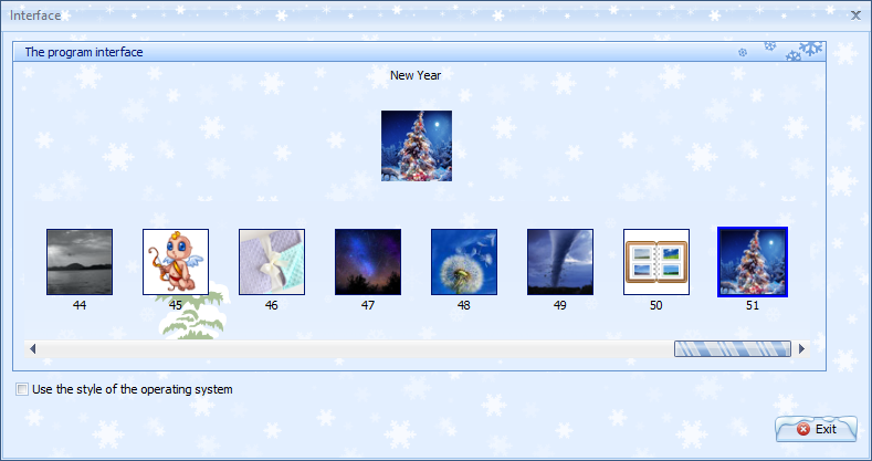 Winter decoration
