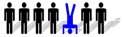 Custom software development