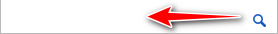Hidden outline of the search input field
