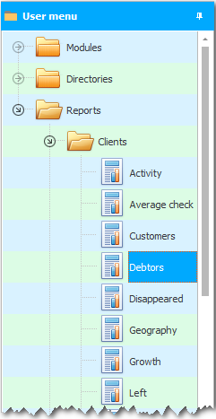 Menu. Report on debtors