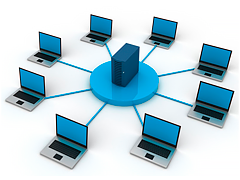 The local network