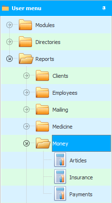 Analyse der finanziellen Aktivitäten der Organisation