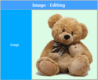 Image uploaded