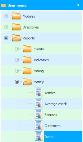 Menu. Report. debts