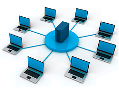The local network
