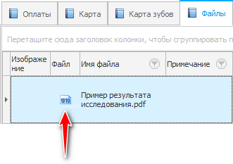 Прикрепленный к электронной истории болезни файл