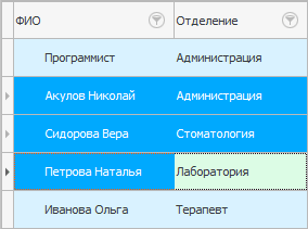 Выделен диапазон строк