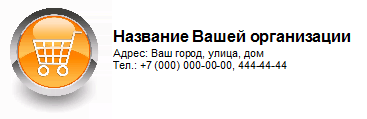 Логотип и реквизиты организации в отчете
